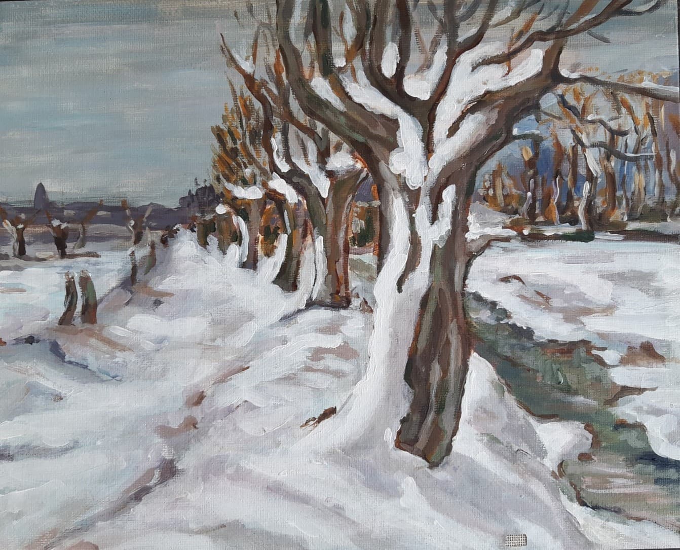 Winter — Landschappen