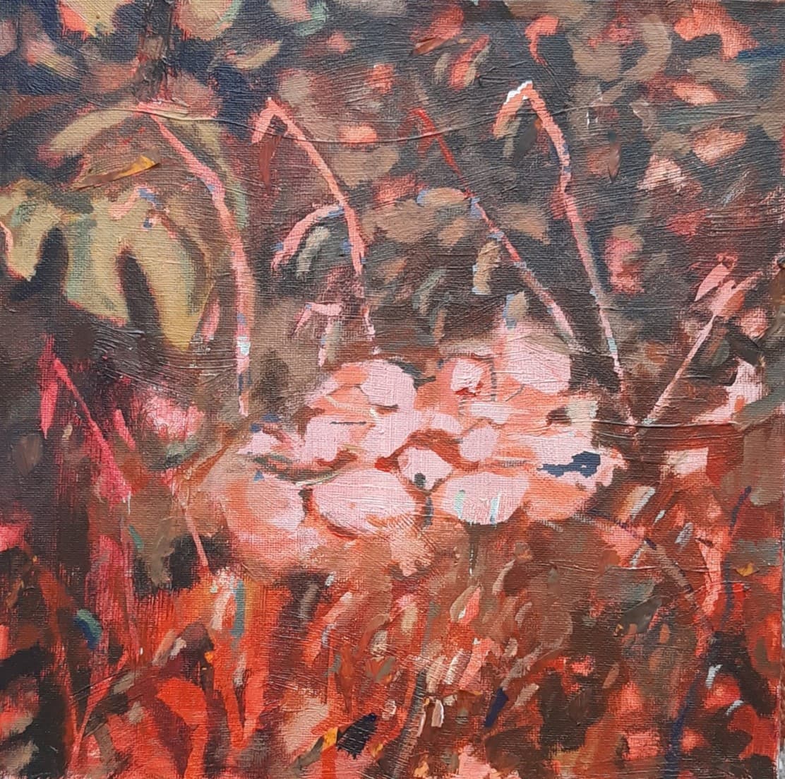 Het Broedseizoen — Le Jardin